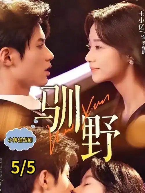 城南旧巷电视剧全集手机免费在线观看